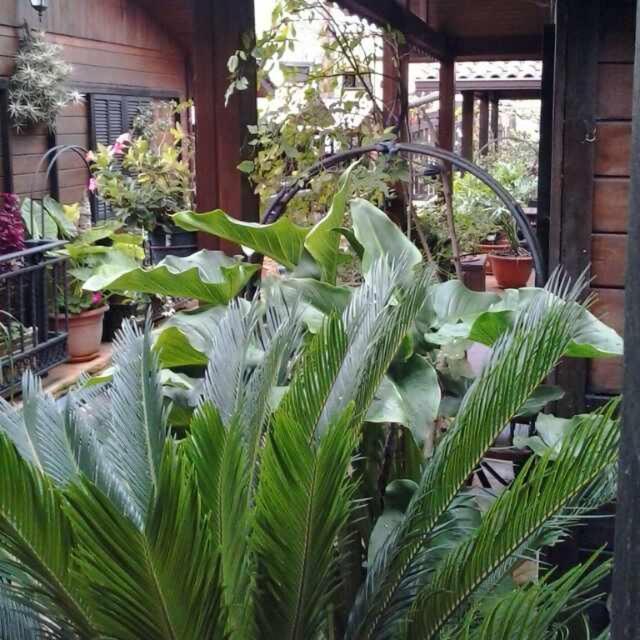 Moya  Cabanas Valle Verde מראה חיצוני תמונה