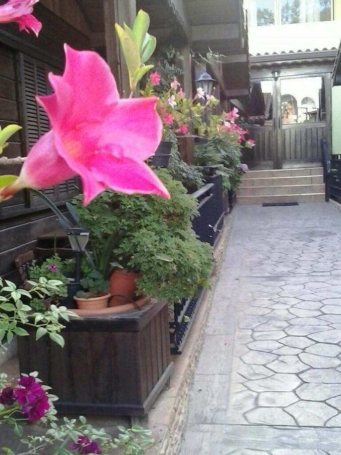 Moya  Cabanas Valle Verde מראה חיצוני תמונה